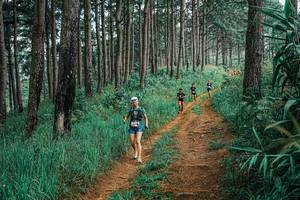 BIB: 
                            <button type="button" onclick="openModal(25655029)" class="btn btn-primary btn-sm float-right btn-popup" data-toggle="modal" data-target=".modal-high-quality">
                        <i class="fas fa-shopping-cart"></i> Add to Cart
                    </button>
                                            <button type="button" onclick="isThisMe(25655029, true)" class="btn btn-success btn-sm float-right btn-popup btn-isme hidden" data-toggle="tooltip" data-placement="bottom" title="นี่คือรูปของคุณใช่ไหม คลิกที่นี่เพื่อเอาเข้าอัลบั้ม">
                        <i class="fas fa-plus"></i> Add to album
                    </button>
                    <button type="button" onclick="isThisMe(25655029, false)" class="btn btn-warning btn-sm float-right btn-popup btn-isnotme hidden">
                        <i class="fas fa-ban"></i> Remove from album
                    </button>